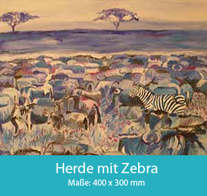 Zebra in Herde